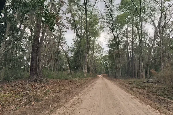 South Carolina Lowcountry — Beaufort, Colleton & ACE Basin, 2026